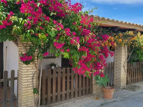 Pis de 20 m² a Conil de la Frontera