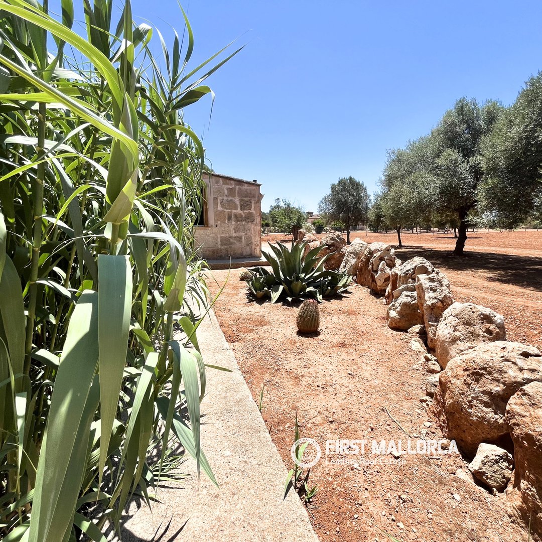 Piso de 78 m² en Campos