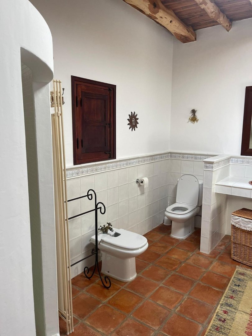 Maison 250 m² à Ibiza
