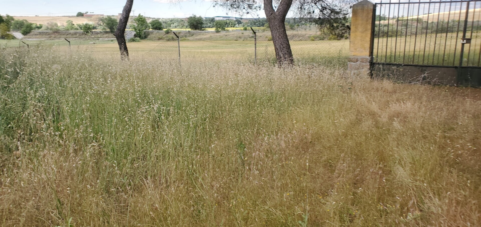 Pis de 13400 m² a Bargas