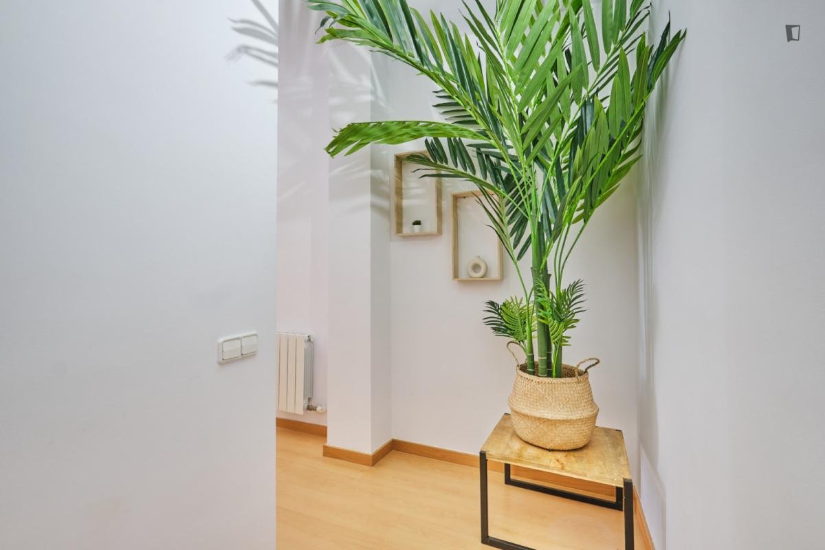 Zimmer zur Miete, Barcelona