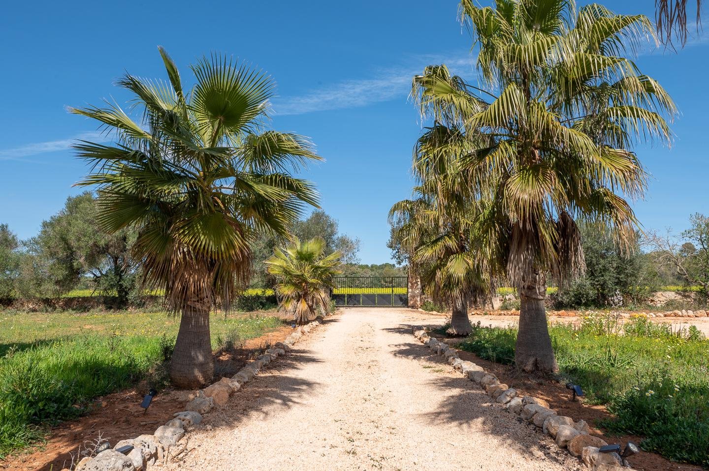Piso de 507 m² en Campos