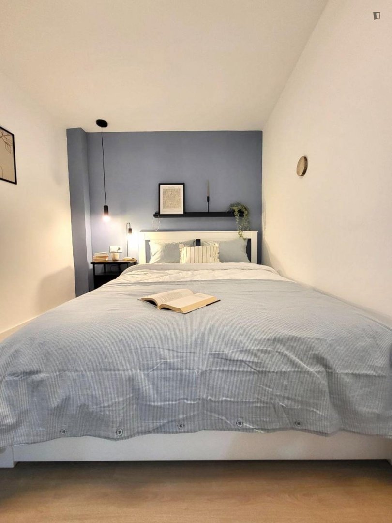Habitació de lloguer, Alacant
