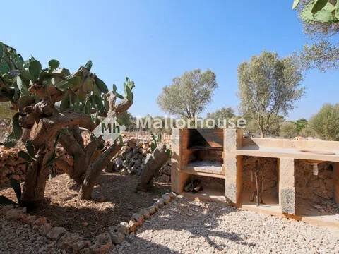 Piso de 70 m² en Santa Margalida