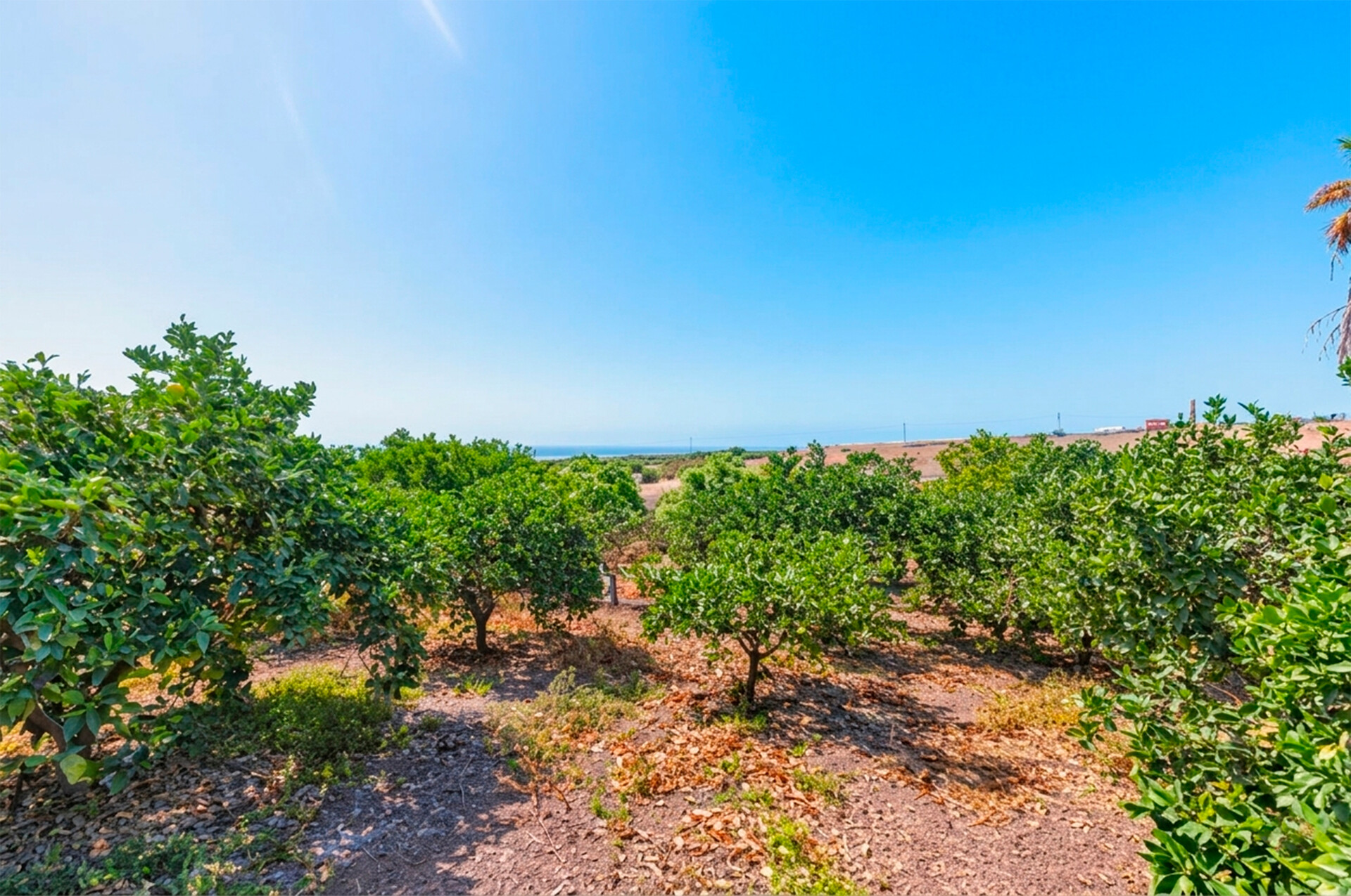 Habitación 200 m², San Bartolomé de Tirajana