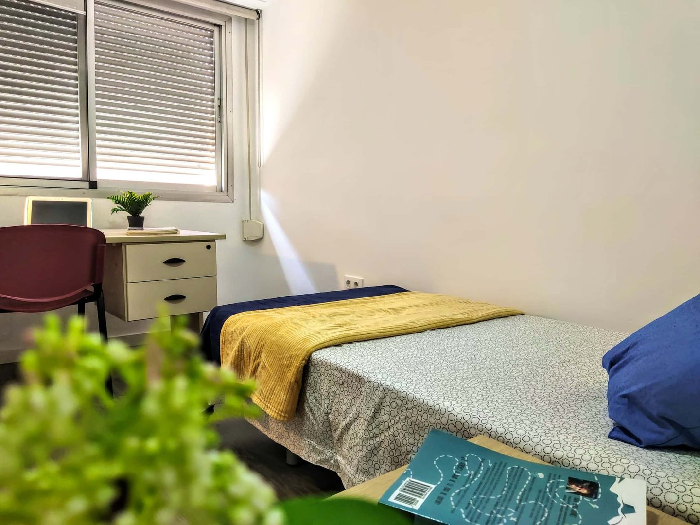 Habitació de lloguer, Burjassot