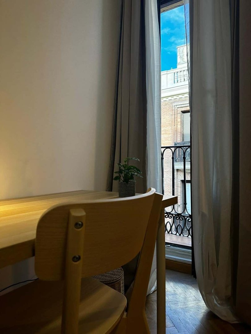 Stanza in affitto, Madrid