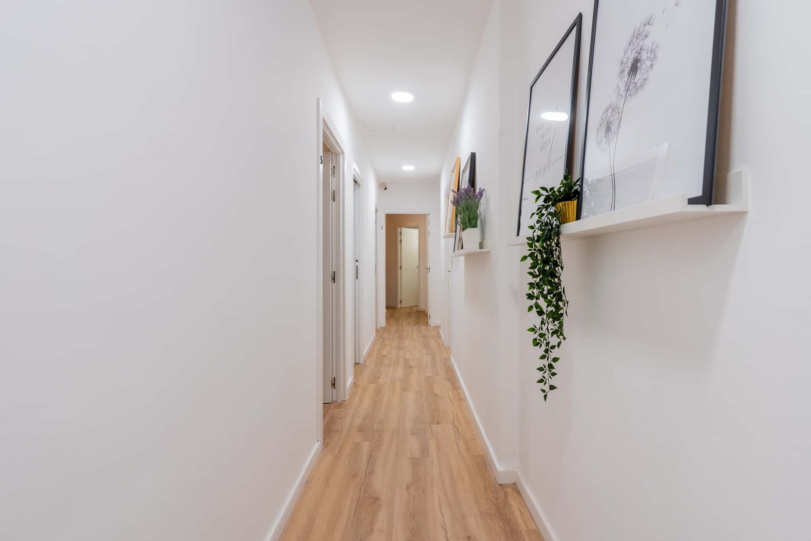 Zimmer zur Miete, Valencia