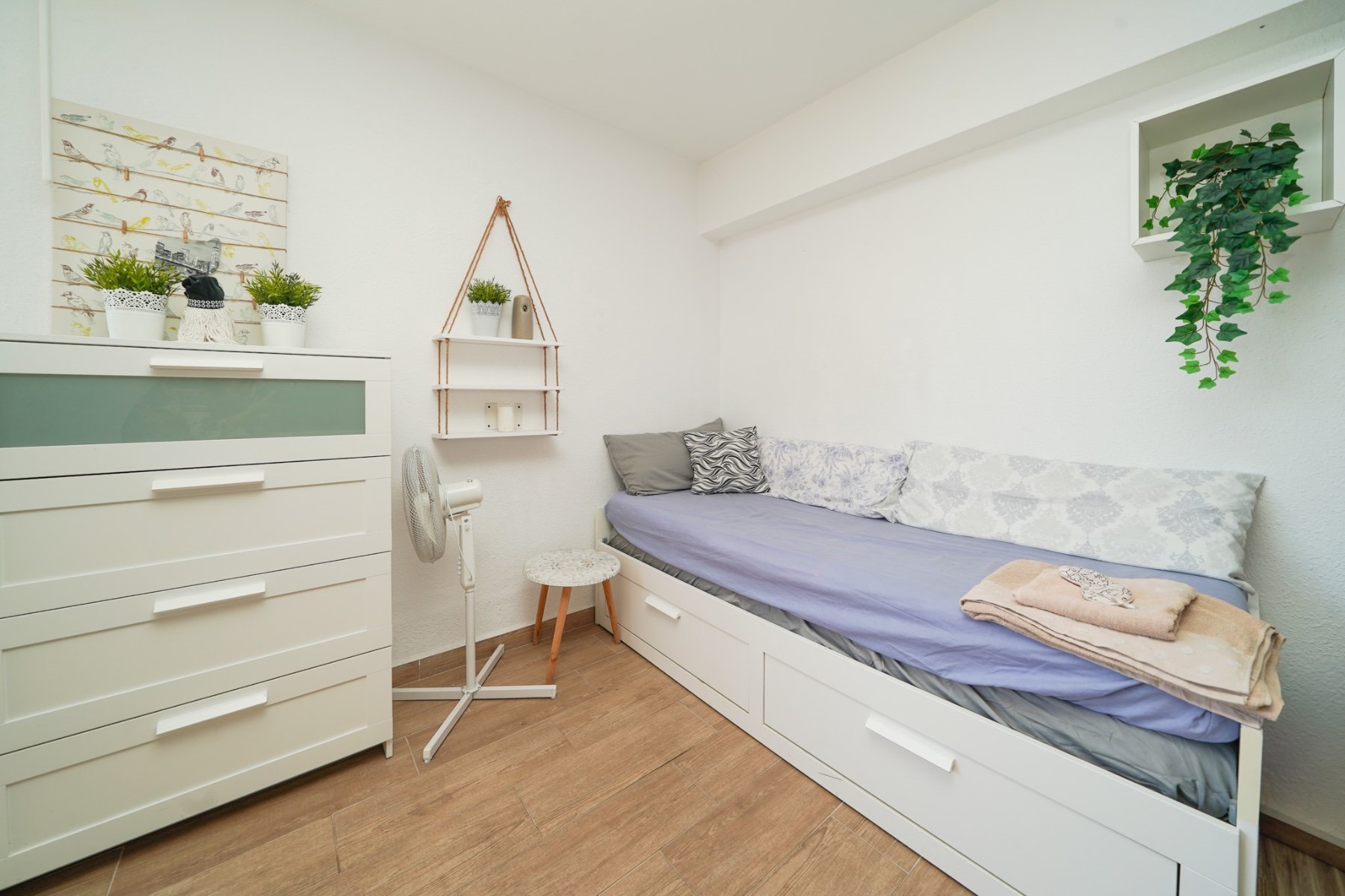 Wohnung 35 m² in Dolores