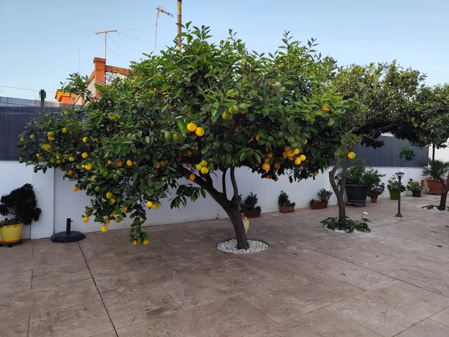 Piso de 60 m² en Sanlúcar de Barrameda
