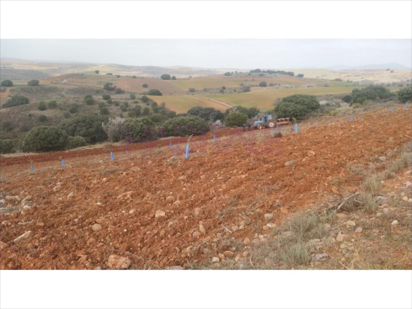 Pis de 3383 m² a Clarés de Ribota