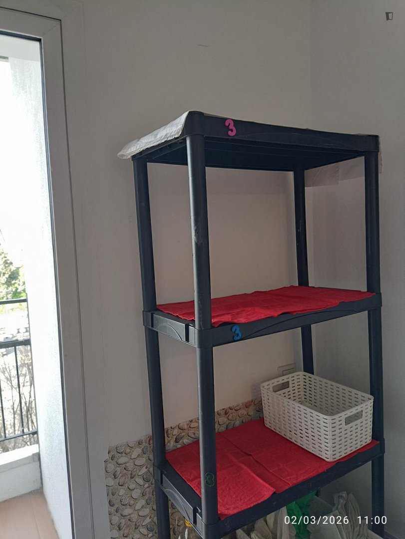 Habitació de lloguer, Madrid