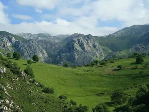 Wohnung 60 m² in Cabrales