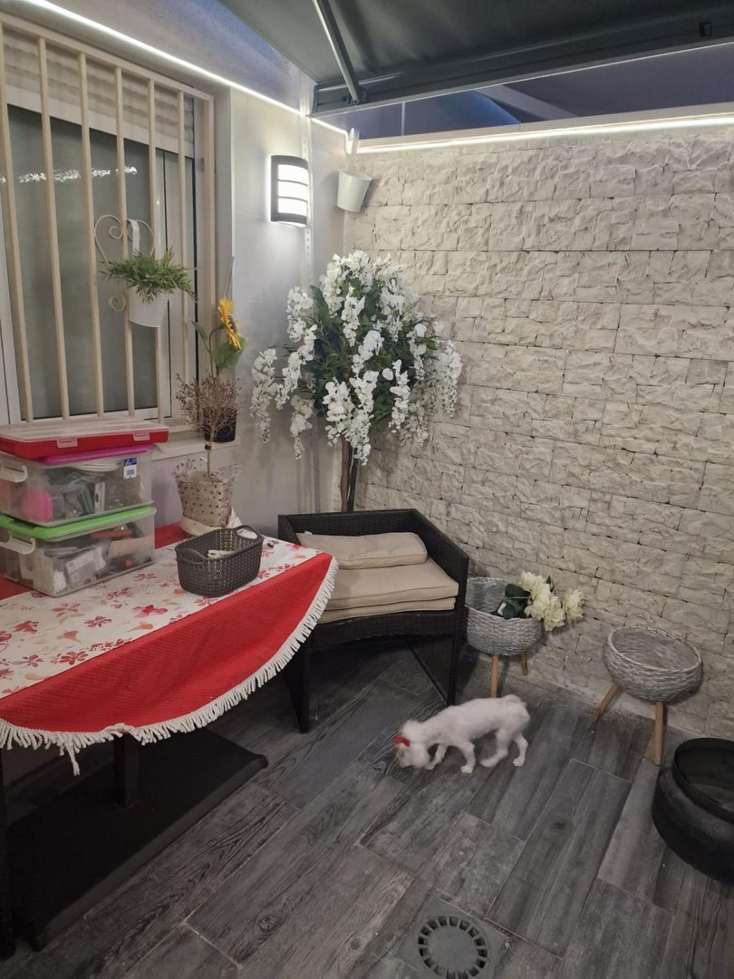 Habitació de lloguer, Alacant