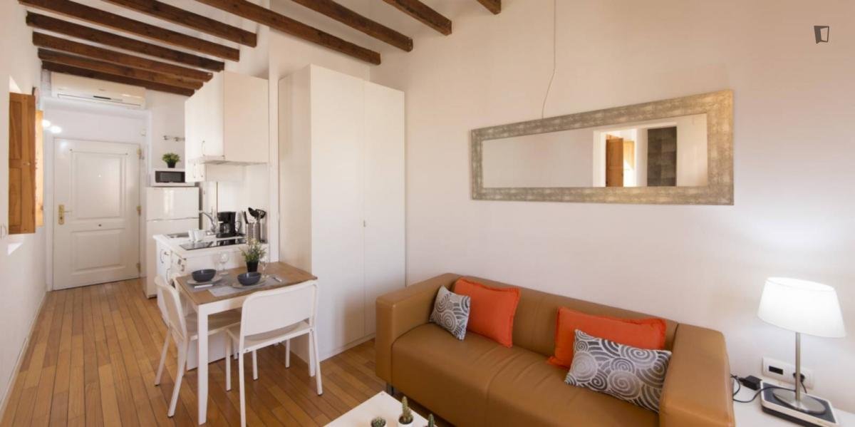 Appartamento 29 m² a Madrid