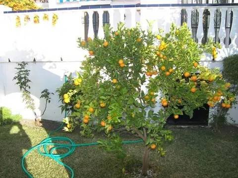 Piso de 98 m² en Nerja