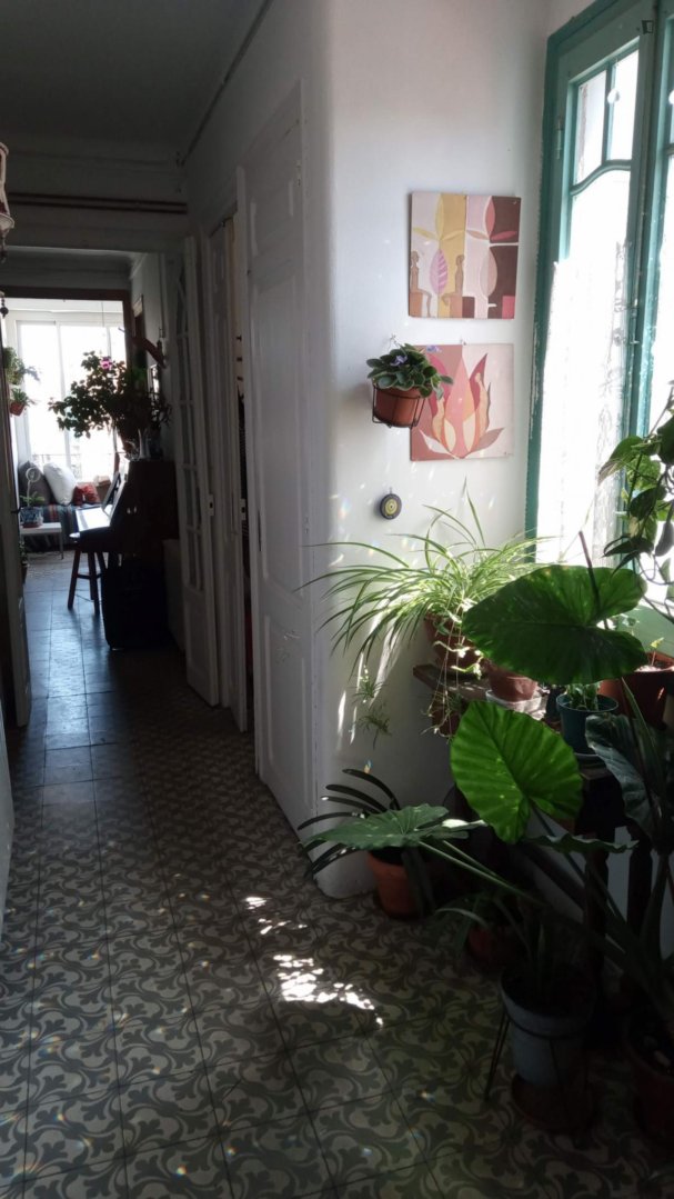Habitació de lloguer, Barcelona