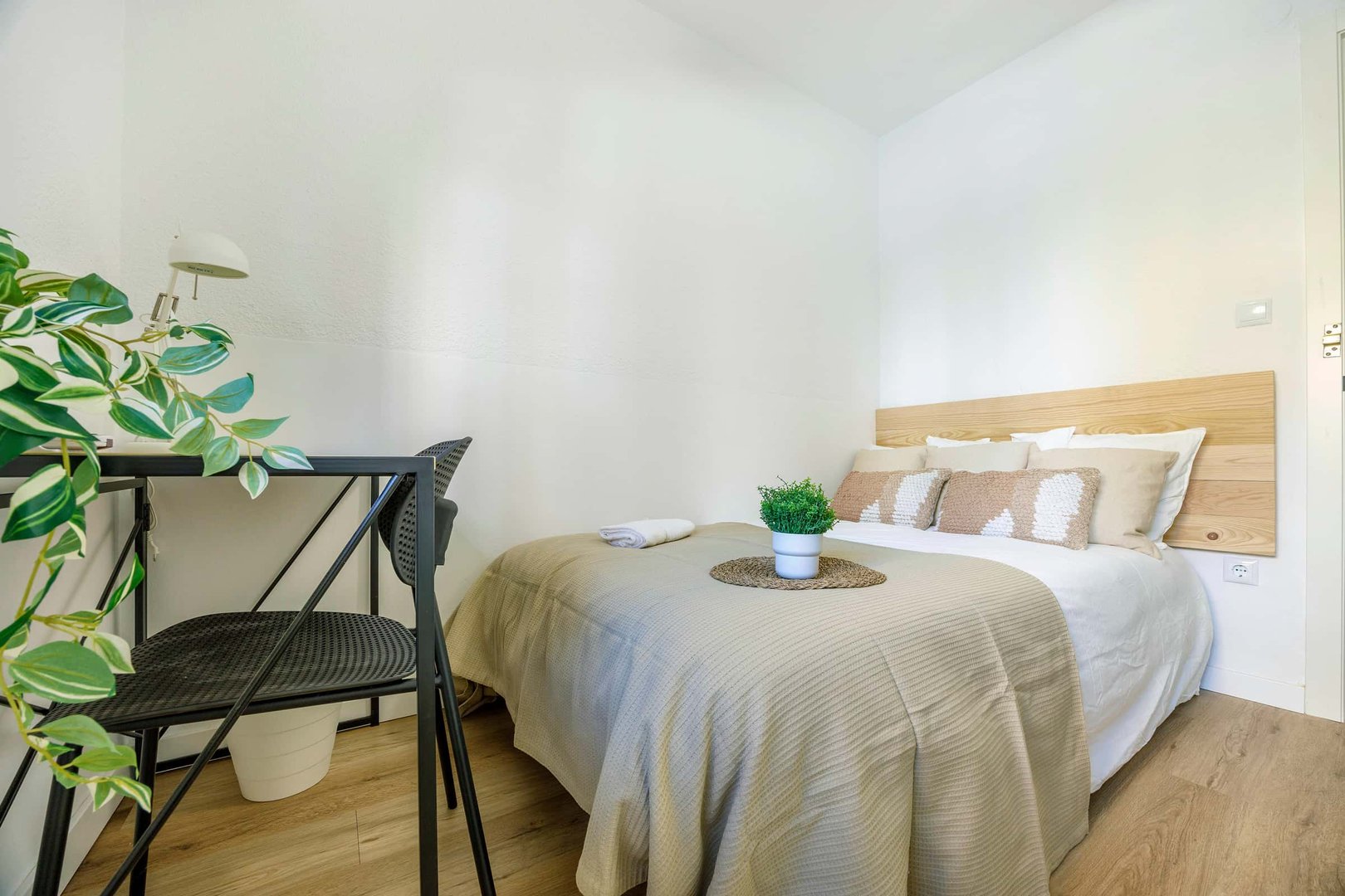 Habitació de lloguer, València