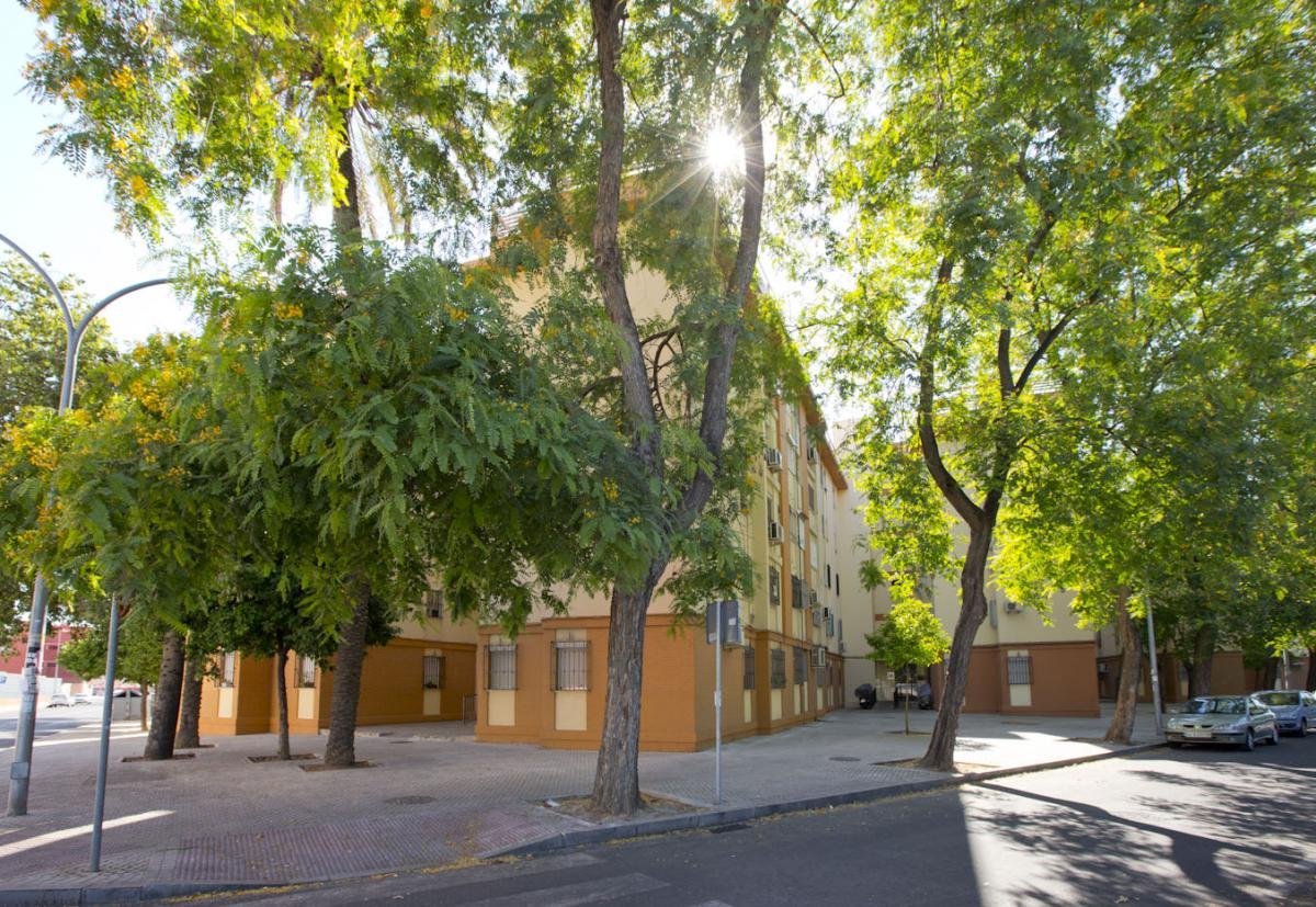 Piso de 80 m² en Sevilla