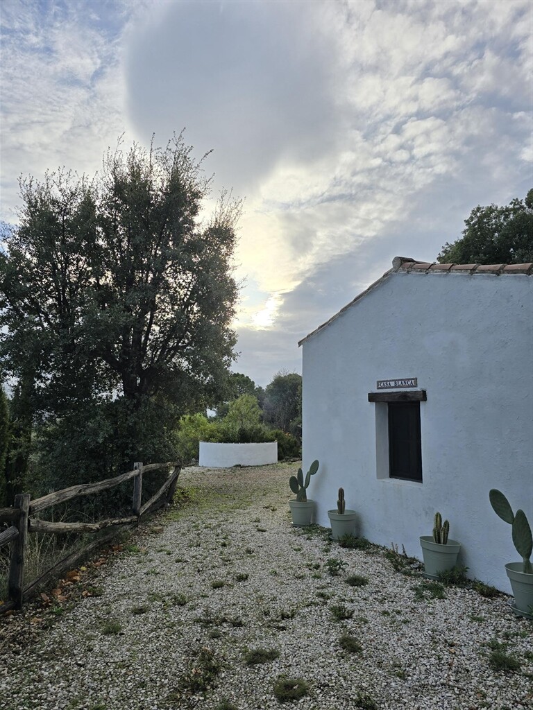 Квартира 225 м² в Jubrique