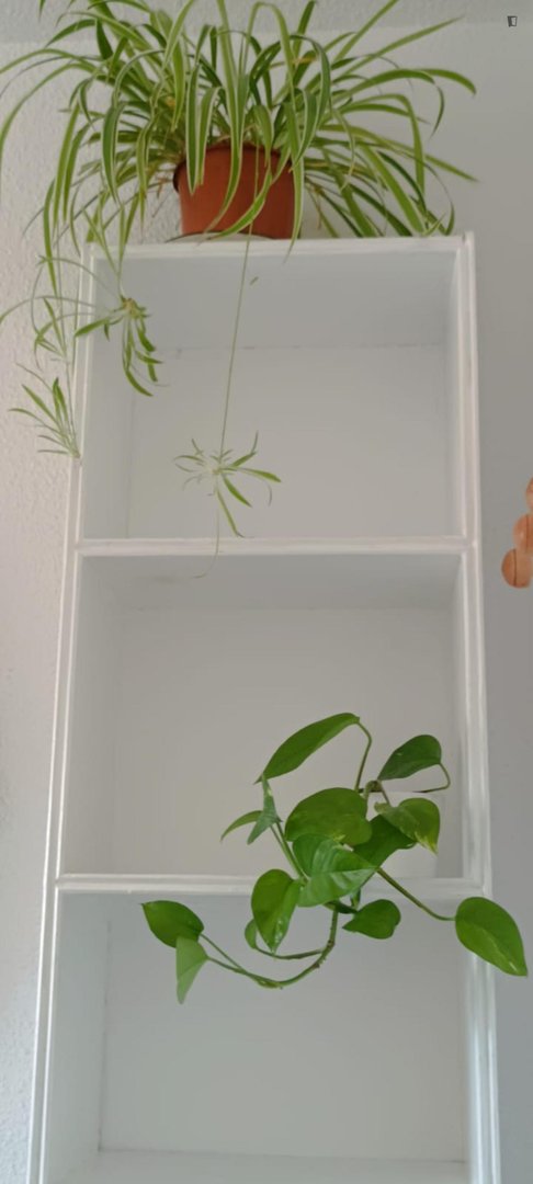 Habitación en alquiler, Tavernes de la Valldigna