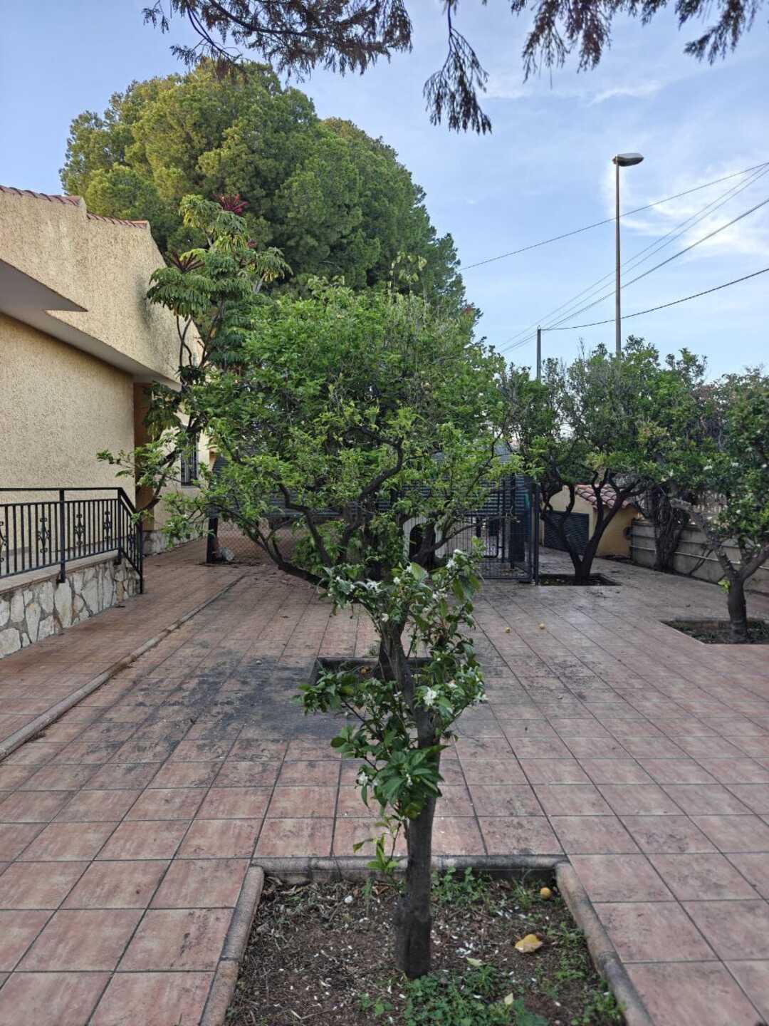 Pis de 252 m² a Sant Vicent del Raspeig