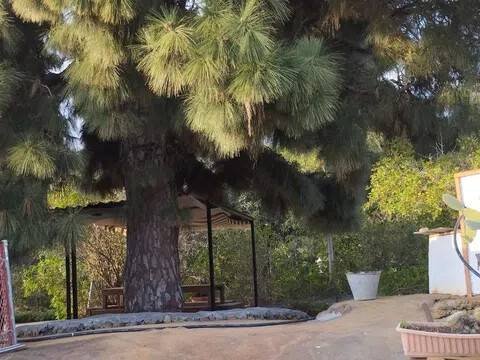 Casa de 45 m² en Los Llanos de Aridane