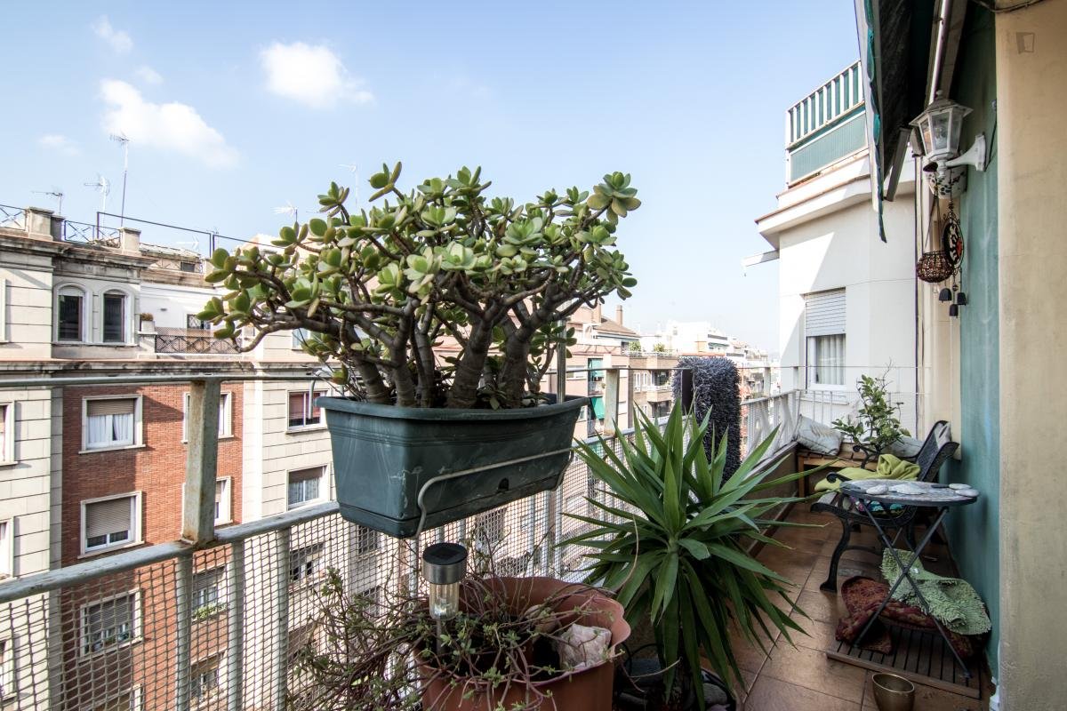 Habitación en alquiler, Barcelona