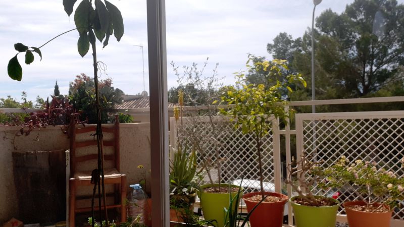 Habitación 110 m², Palma