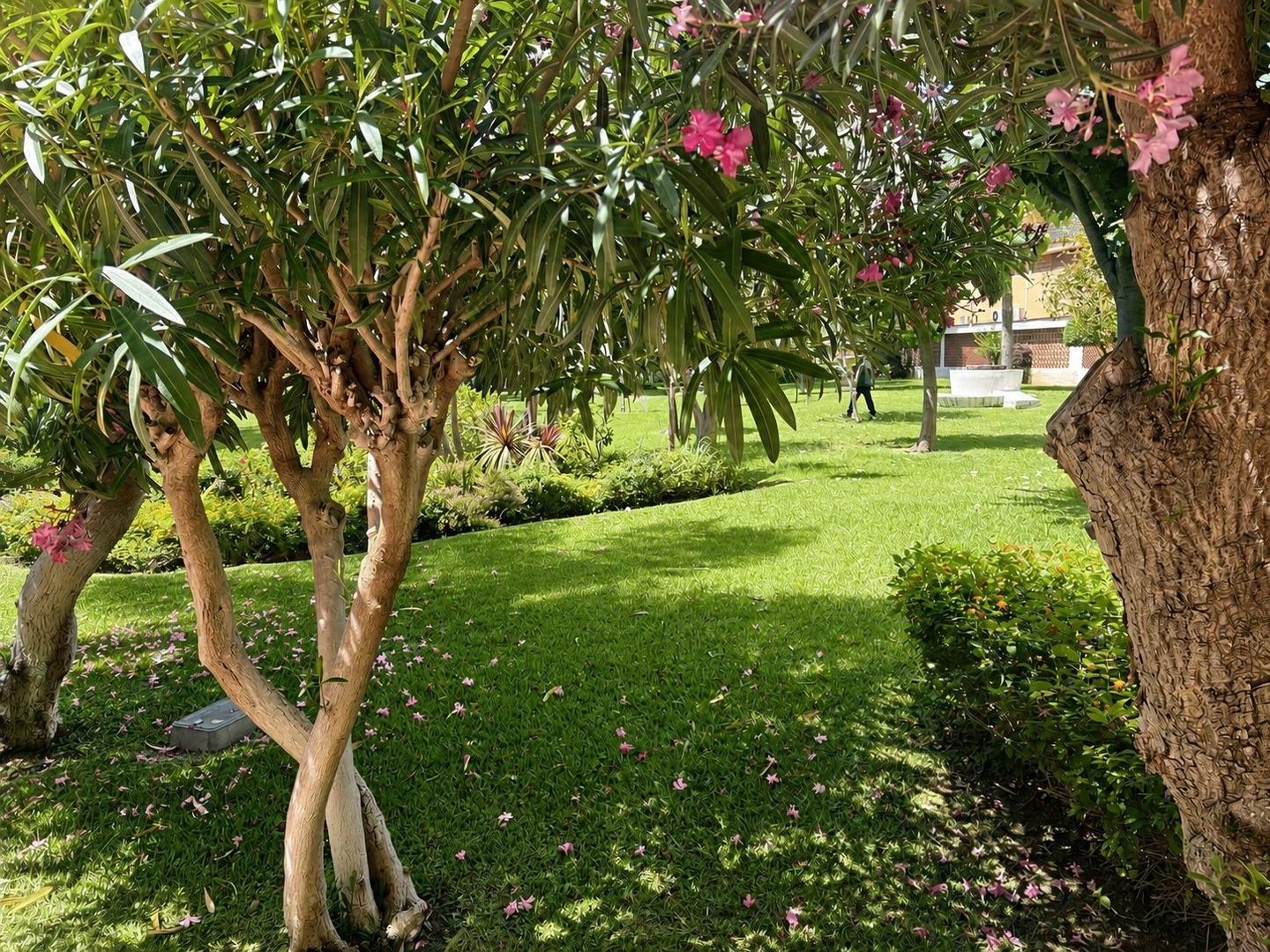 Pis de 85 m² a Torremolinos
