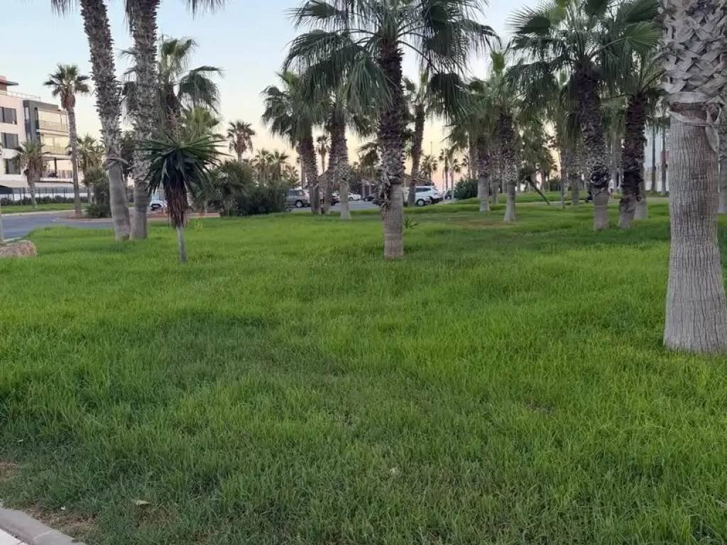 Appartamento 75 m² a El Ejido
