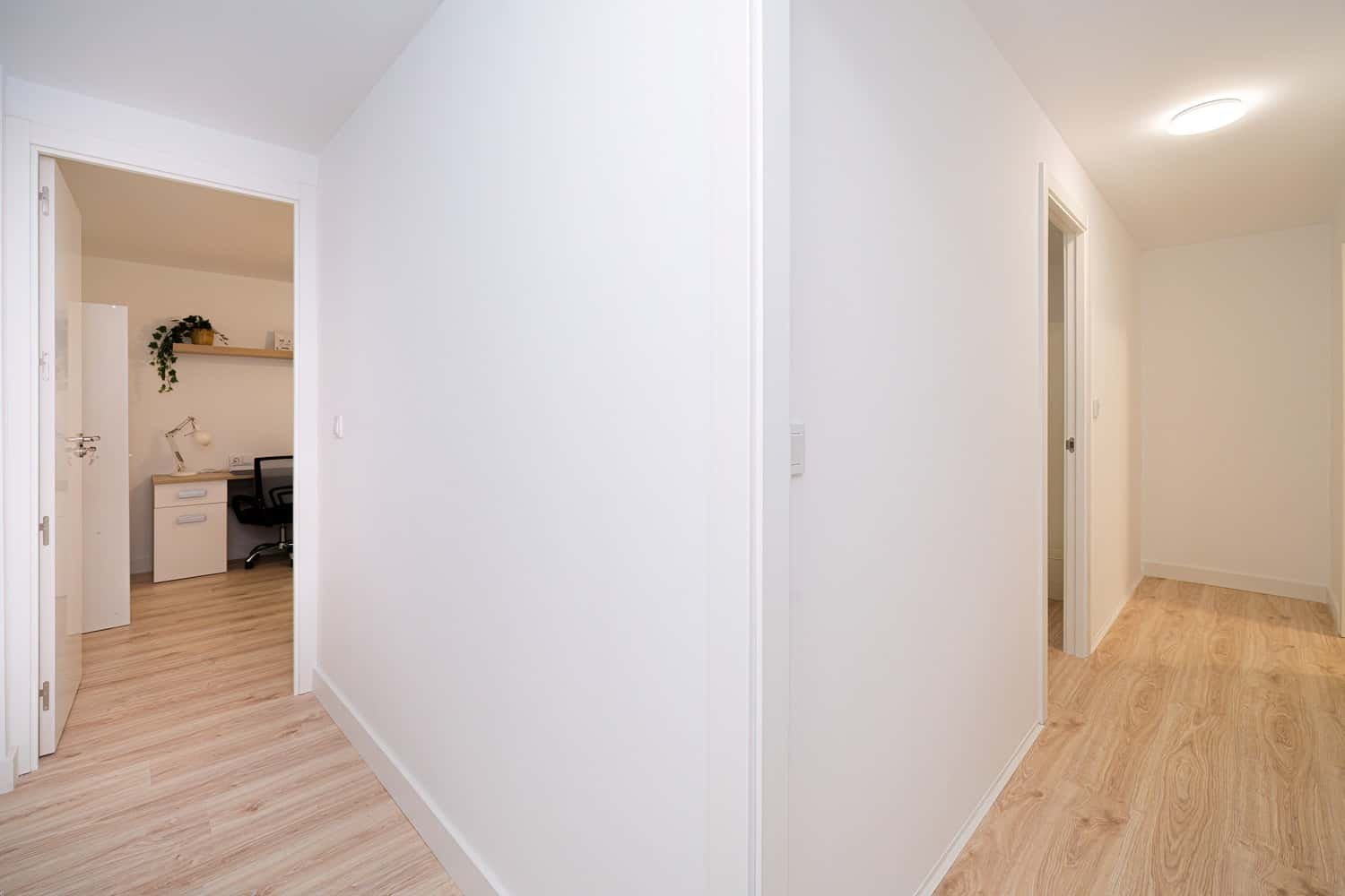 Habitació de lloguer, Elx