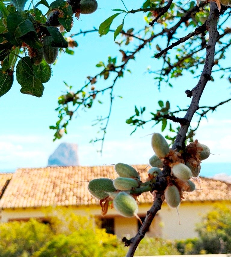 Casa de 300 m² en Calpe