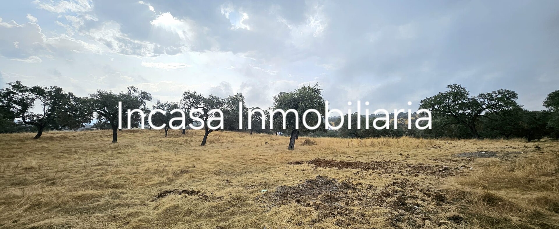 Piso de 90000 m² en Valverde del Camino