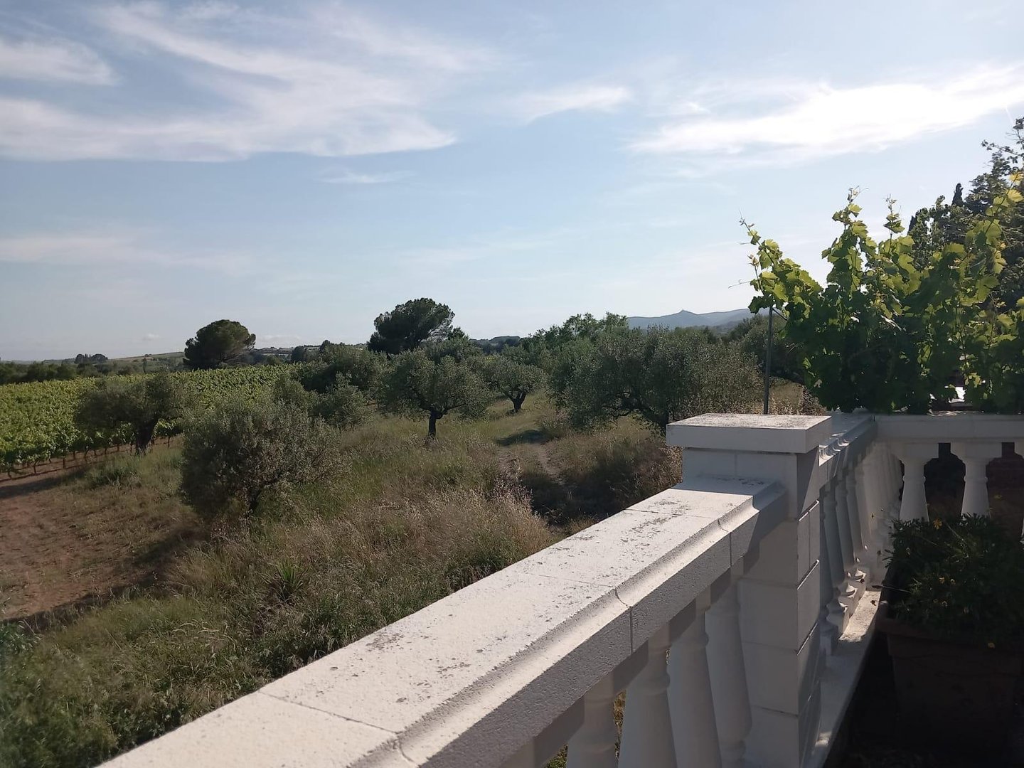 Casa de 354 m² en Pacs del Penedès