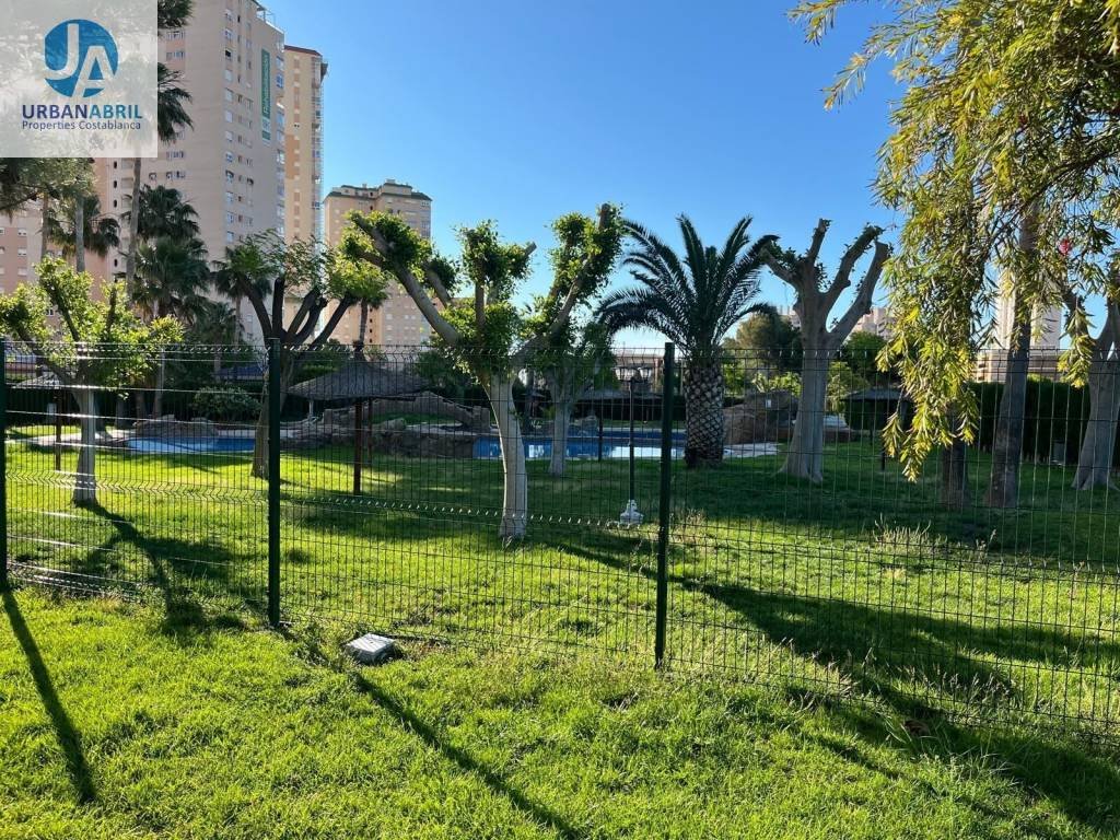 Pis de 25 m² a el Campello