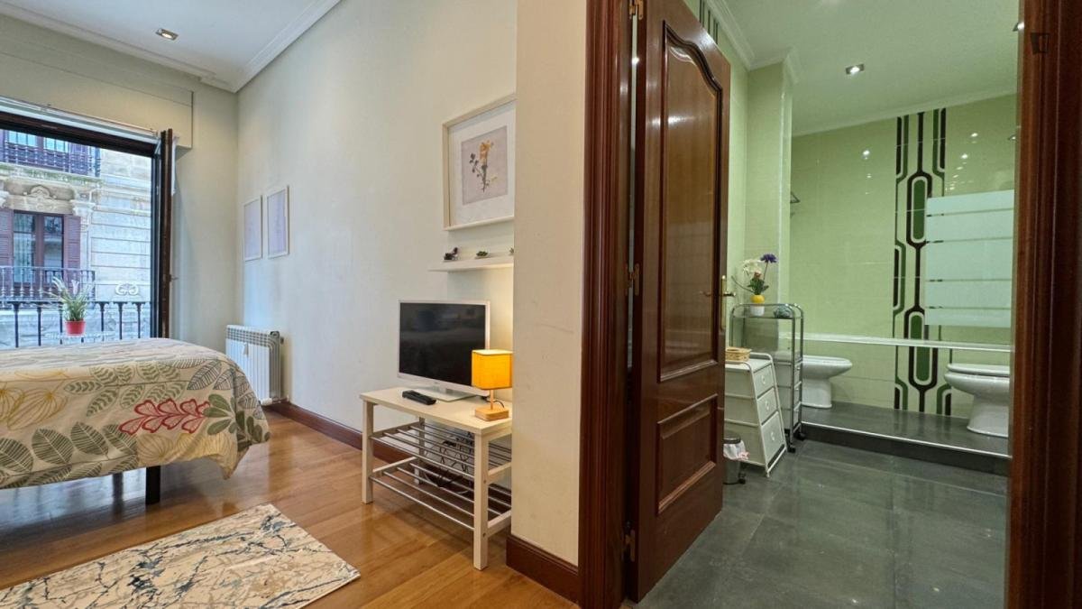 Room for rent, Bilbao