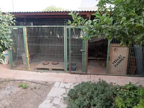 Casa de 250 m² en Elche
