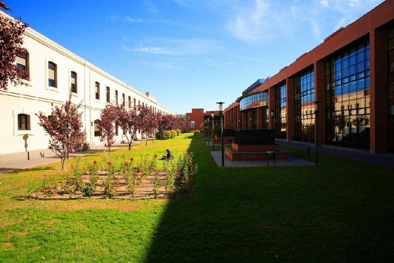 Habitació de lloguer, Getafe