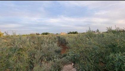 Appartamento 110 m² a Binissalem