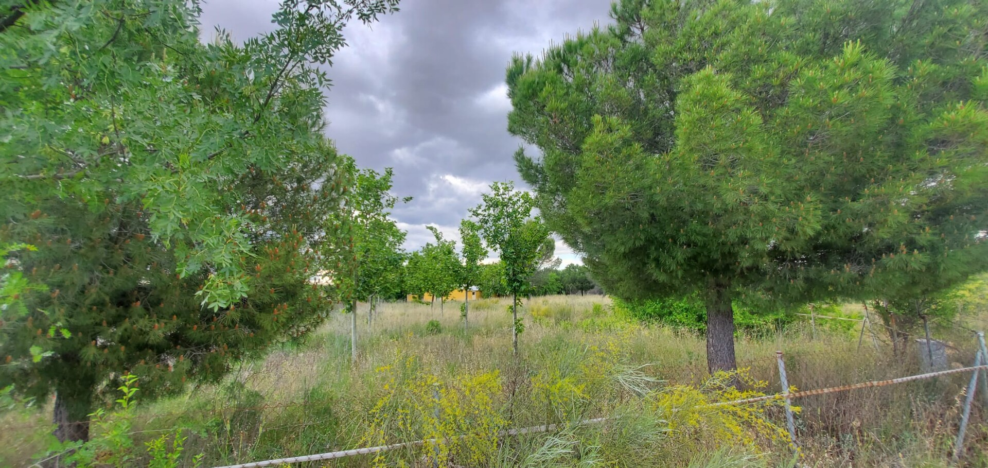 Pis de 13400 m² a Bargas