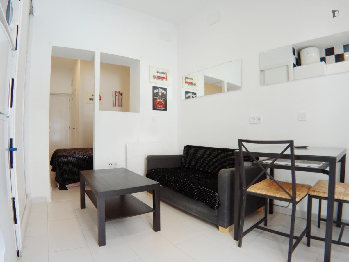 Pis de 28 m² a Madrid