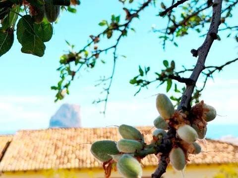 Casa 300 m² a Calp