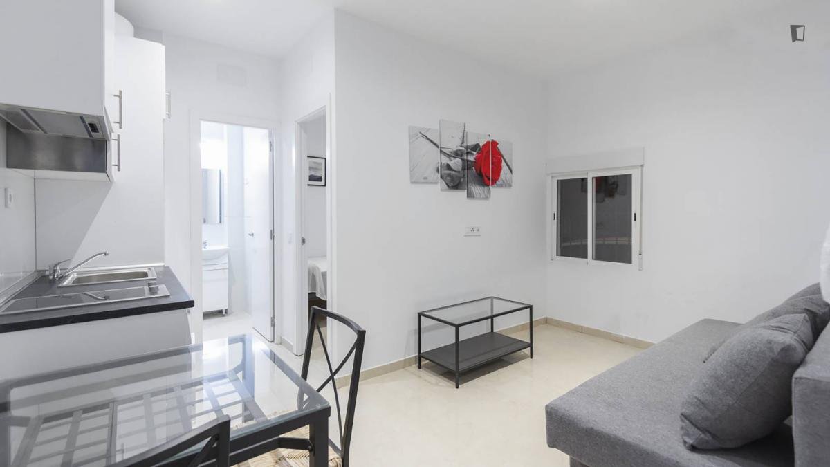 Pis de 33 m² a Madrid