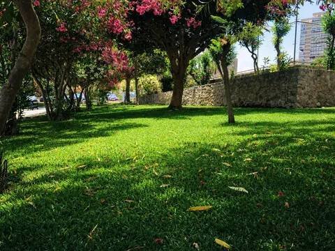 Apartamento 60 m² em Alacant / Alicante