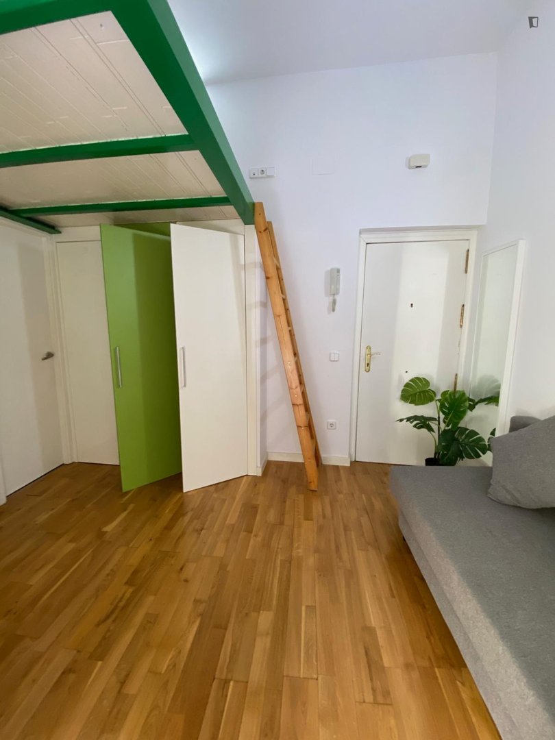 Pis de 29 m² a Madrid