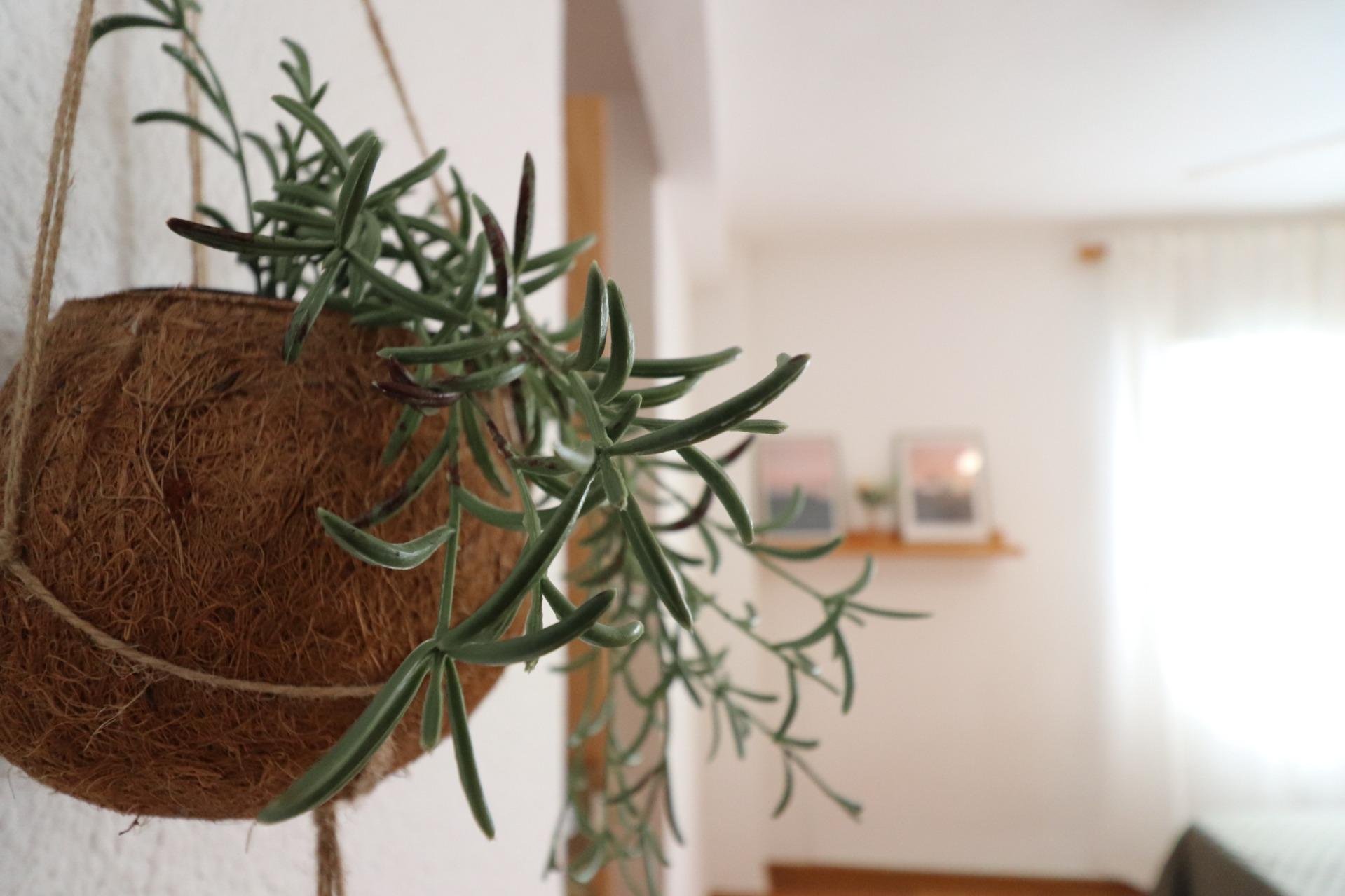 Habitación 70 m², San Vicente del Raspeig