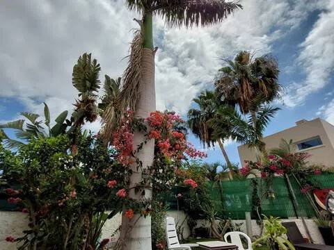 Casa de 280 m² en Adeje