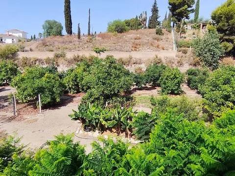 Appartamento 70 m² a Frigiliana