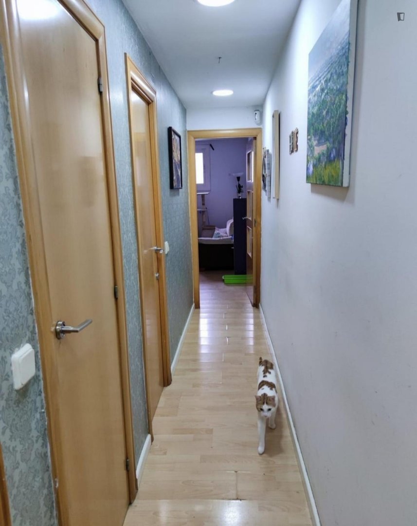 Habitación en alquiler, l'Hospitalet de Llobregat